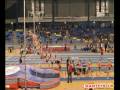Dartfish Stromotion - Polevault