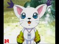 gatomons pain