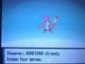 Evolving Shiny Chimchar