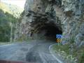 GİRESUN YAYLALARINDA GEZİNTİ