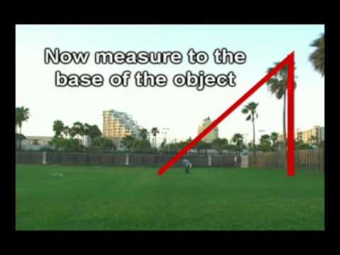 how to measure height of a tree