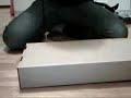 Logitech g15 unboxing