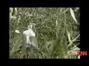 What is FARC - farc terrorist