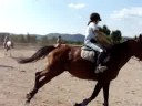 Taboulet et Elle