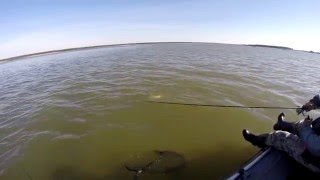 ловля щуки на обском море ловля щуки на обском море