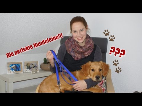 Die perfekte Hundeleine!? / Leinentypen