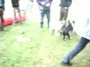 Rumo in Action Rumo in Action