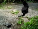 Kuzco und Klein-a-Tuin