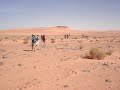 Voila une autre video notre grande marche du siecle la suite est eppuisante