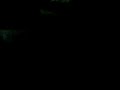 sendelli dimi düğün kına gecesi komotini gümülcine