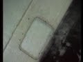 made by vienna-based video artist billy roisz for the song from pendler's album 