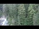 Zip trecking in WhistlerWe Fly HgihNo LieYou Notice...Ballin!!