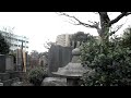This place is at the back of the main building in Gokokuji Temple. There were many crows.