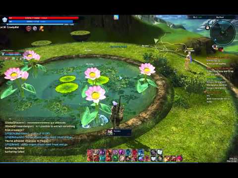 how to collect sky lotus tera