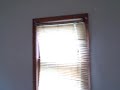 1846 Hudson St. (REHABBED!!!) 1846 Hudson St. (REHABBED!!!)