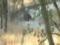 videos de Longboard on bike trail