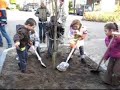 Bomen planten in de Grote Waal met de kleuters van de Ichthu Bomen planten in de Grote Waal met de kleuters van de Ichthu