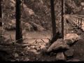 Oriya song Hrudayara Ei Bagichare:   Music: Anant Kar