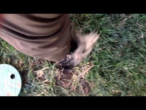 how to bleed irrigation valves
