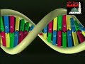 نقد نظرية داروين 