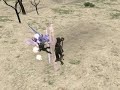 FF11 Magics (v2)