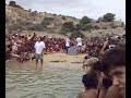 Torre Salsa (AG) - liberazione di una tartaruga