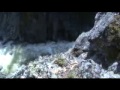 Coal Rush Event 2009 Part 1