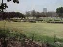 Okolice Gezira Sporting Club, Zamalek, Kair