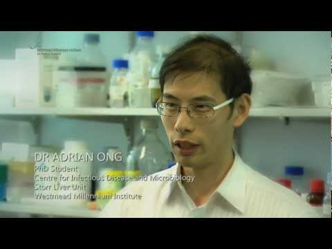 how to treat hepatitis b australian doctor