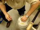 Cryopreservation of tragopan/grouse/crane semen