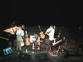 videos de Trees in the wood