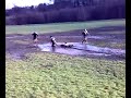 Stanningley - MUD BATH AT CALDER VALLEY
