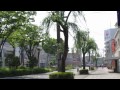 Click here to watch this video すれちがい通信の旅 静岡ホビーショー2012編 3DS StreetPass Sizuoka