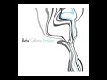 Bebel Gilberto - River Song (Grant Nelson Mix)
