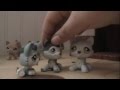 LPS Wolves and Cougars (part 1) Secret friendship
