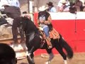 RANCHO EL PEDREGAL