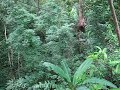 Jeff zip lines in Chiang Mai