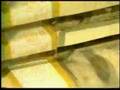 Clip Fr�d�rik Mey C'�tait une bonne ann�e je cro