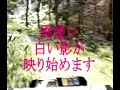 心霊スポットでもある黒尾峠（岡山県）に行って来ました。気配を感じた辺りから、白い影がチラチラと・・・ 途中で探索打ち切って帰ってきました。