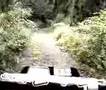 廃道探索（岡山県　黒尾峠）