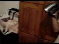 Assistir ao v�deo