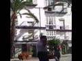 Guitarrist in Sevilla