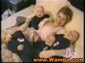 Bebes divertidos en Wamba.com