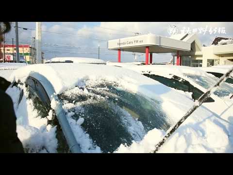 動画