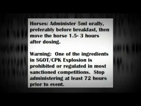 how to perform sgot test