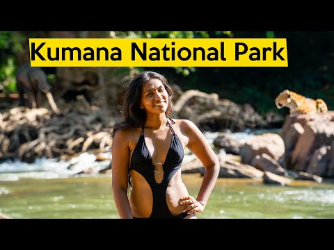Is Kumana better than Yala national park in Sri Lanka?