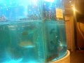 DSCF1738