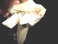 raw sodium in water Sodium