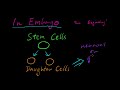 Part 5 - Neural Growth and Regeneration