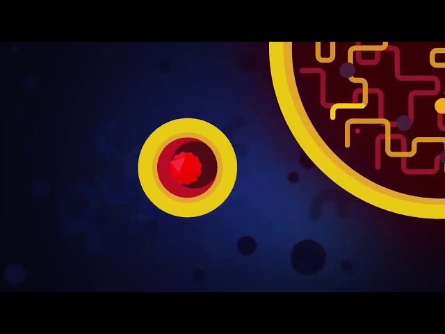 Что дает озонирование воздуха?